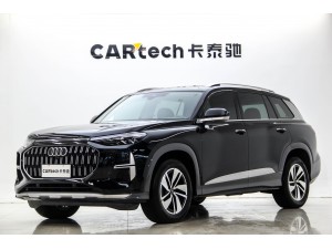 Audi Q6 40 TFSI 2024