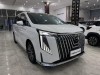 Trumpchi M8 2024