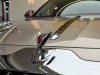 Hongqi Guoya 2024