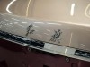 Hongqi Guoya 2024