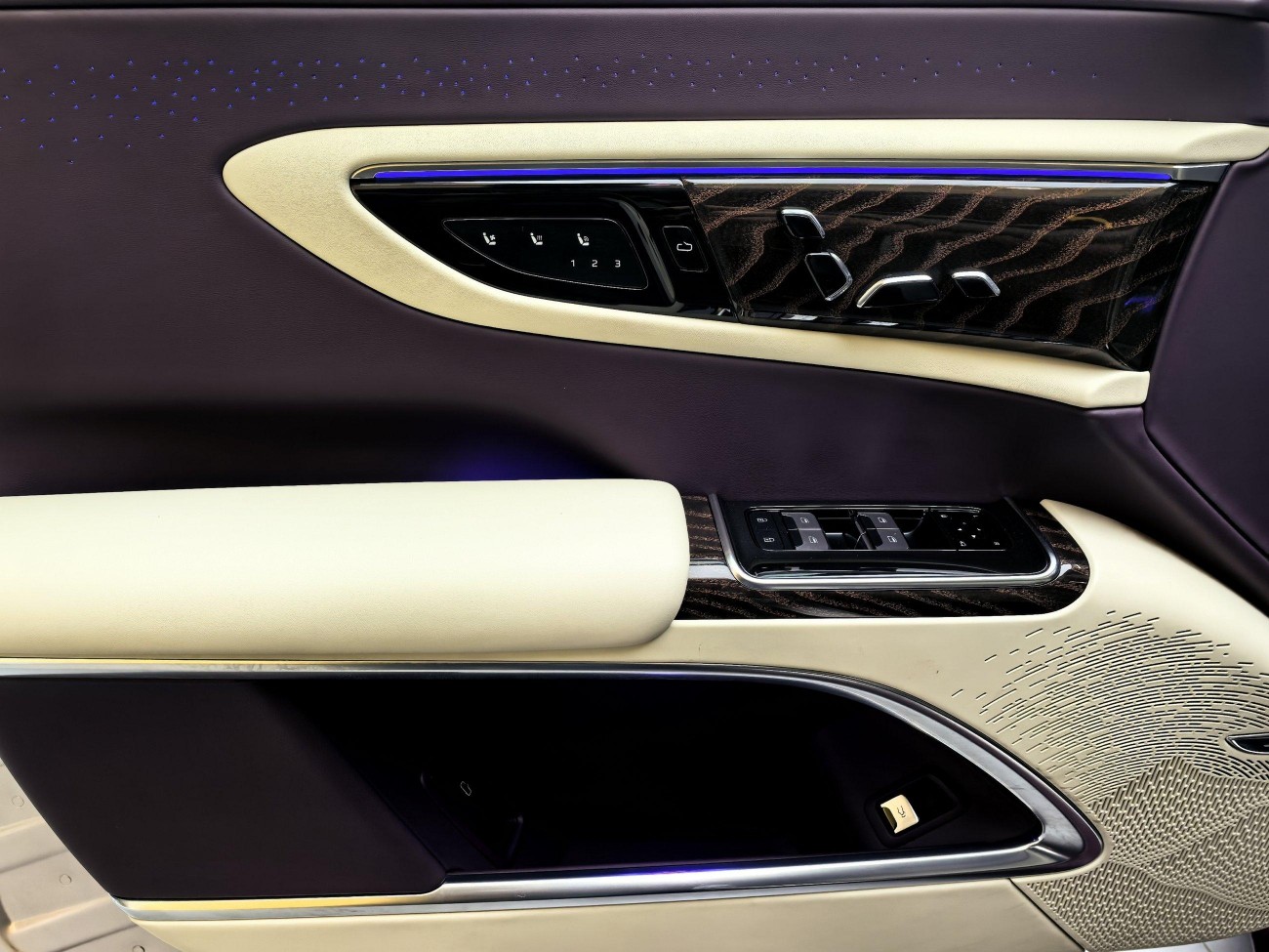 Hongqi Guoya 2024