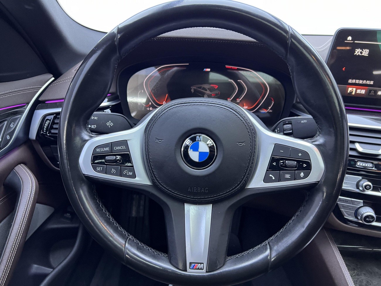 BMW 525Li 2022
