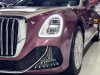 Hongqi Guoya 2025
