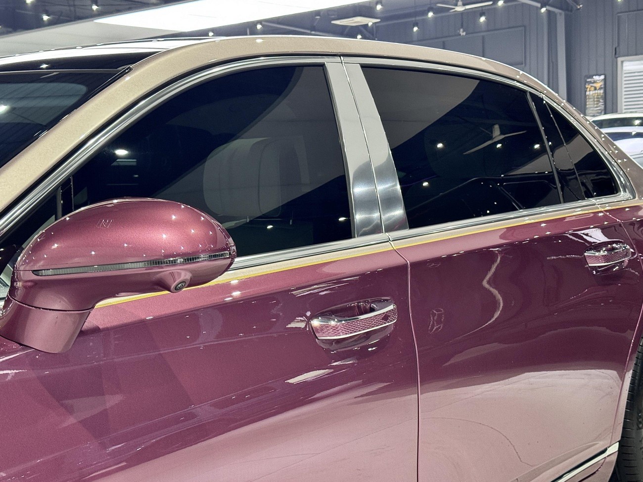 Hongqi Guoya 2025