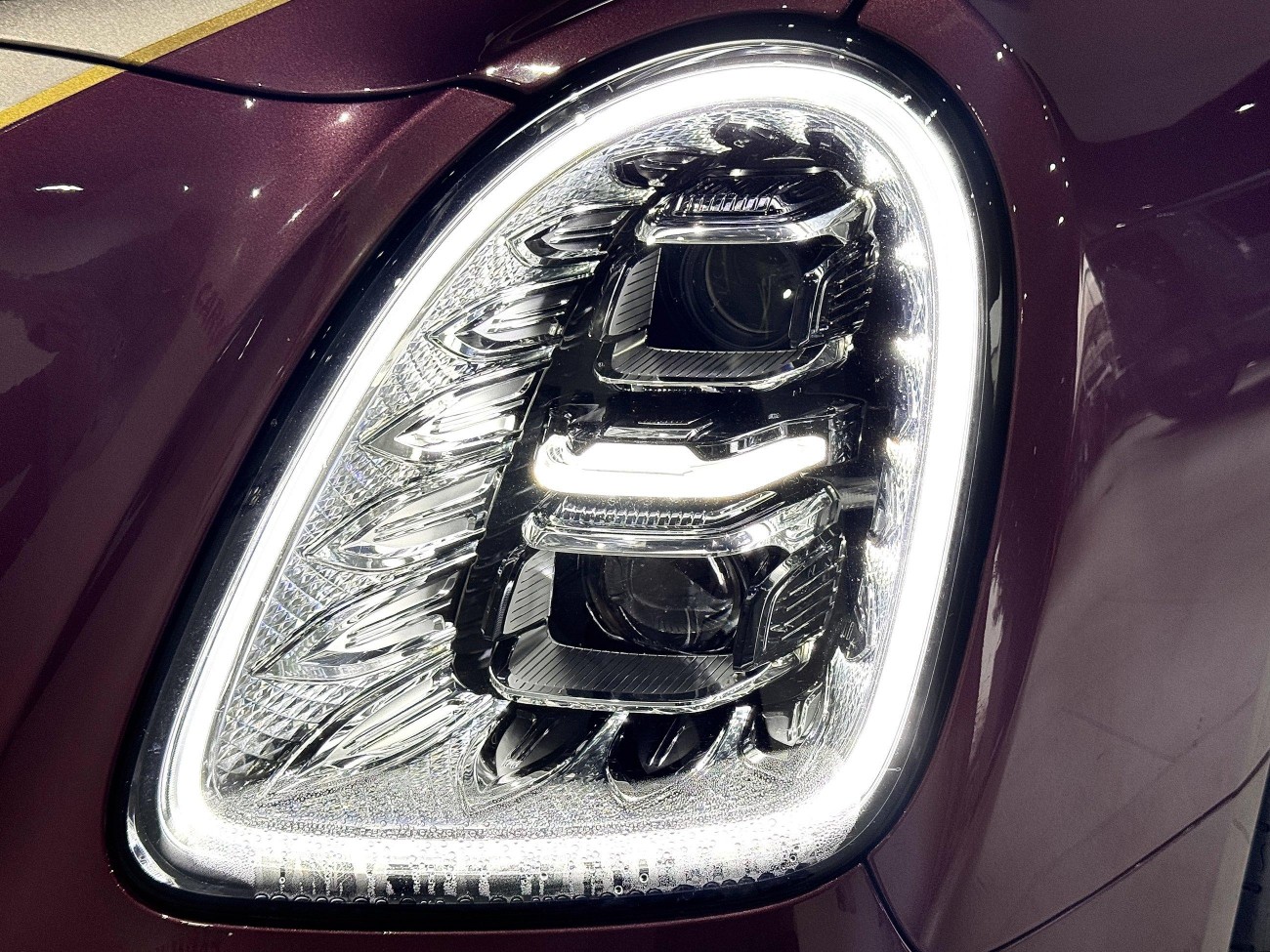 Hongqi Guoya 2025