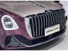 Hongqi Guoya 2025