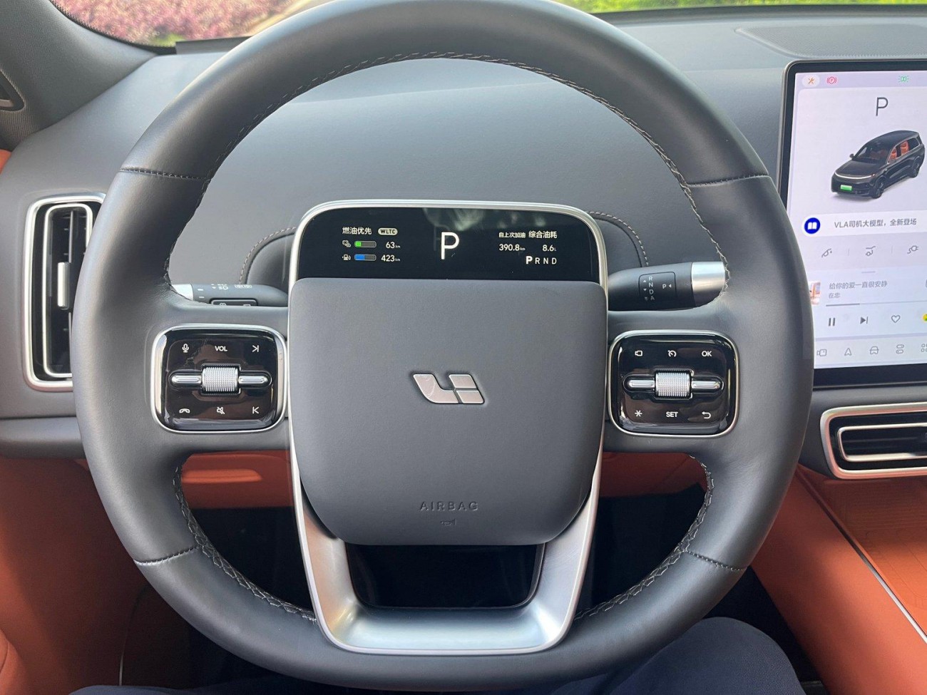 Li Auto L9 2024
