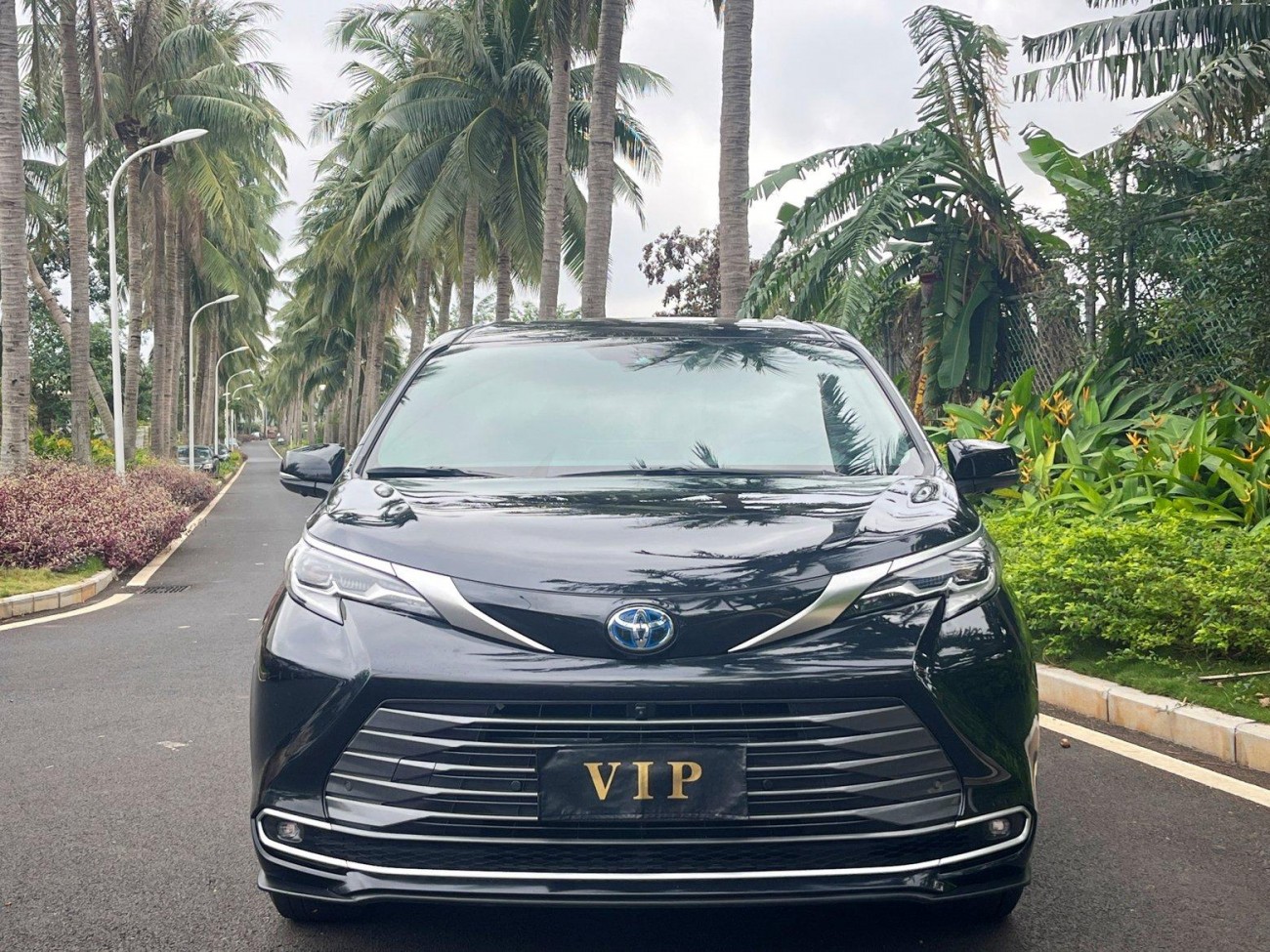 Toyota Sienna 2022