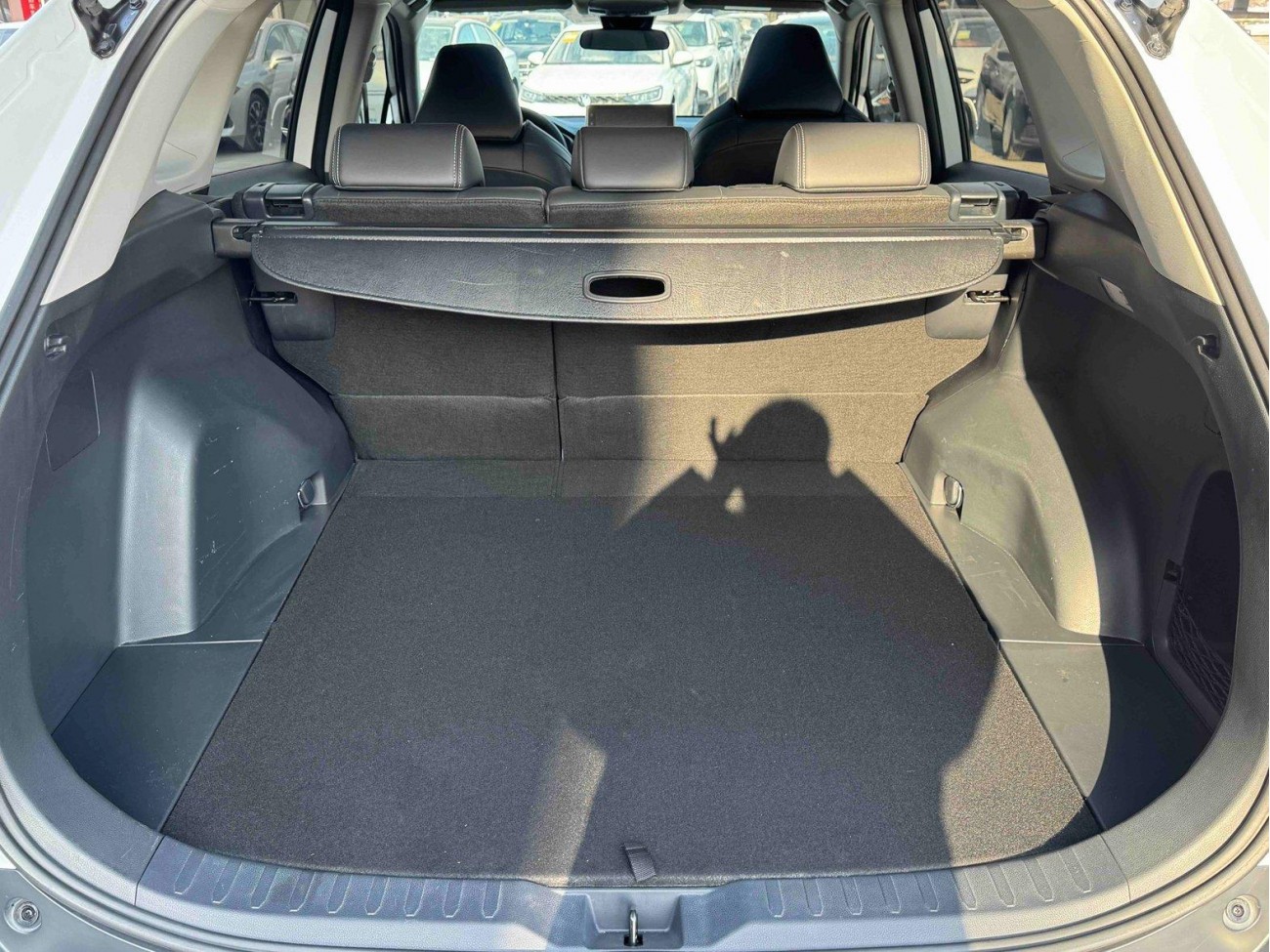 Toyota Wildlander 2022