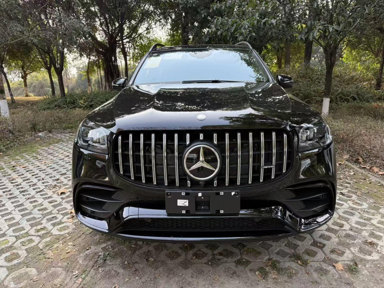 Mercedes-Benz GLS 63 4MATIC 2024