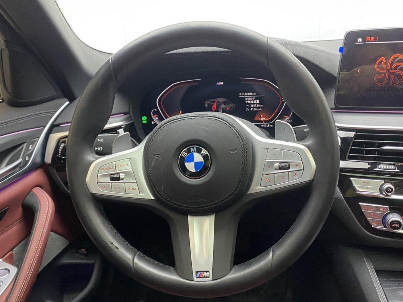 BMW 530Li 2023