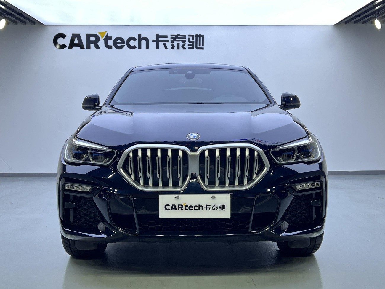 BMW X6 2022