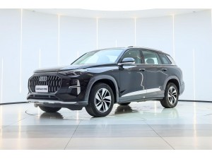 Audi Q6 40 TFSI 2024