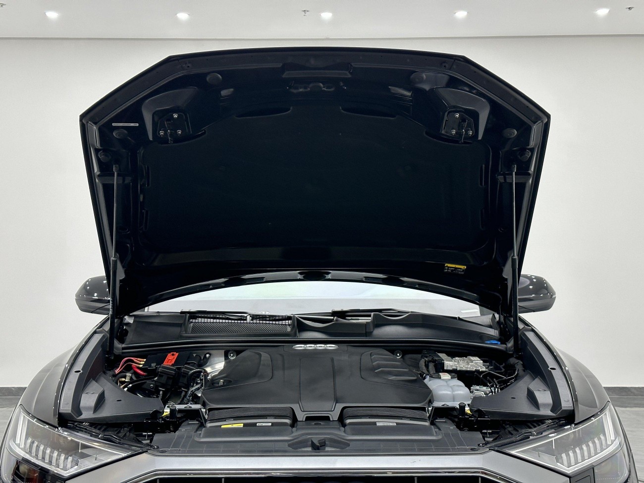 Audi Q8 45 TFSI 2023