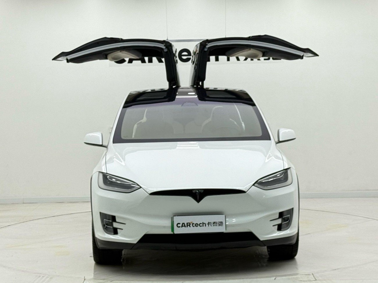 Tesla Model X 2019