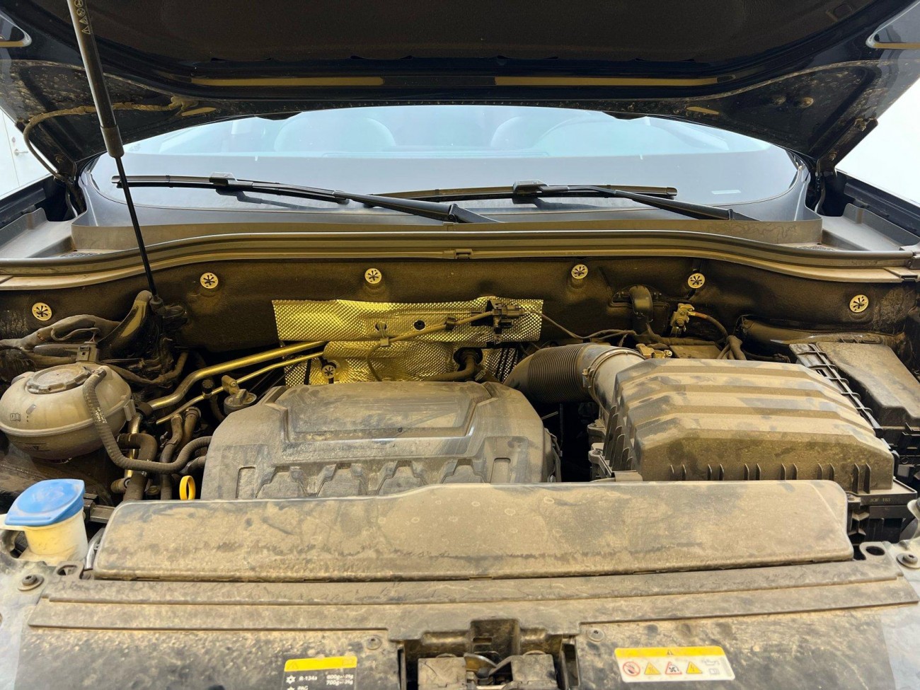 Volkswagen Teramont X 2024