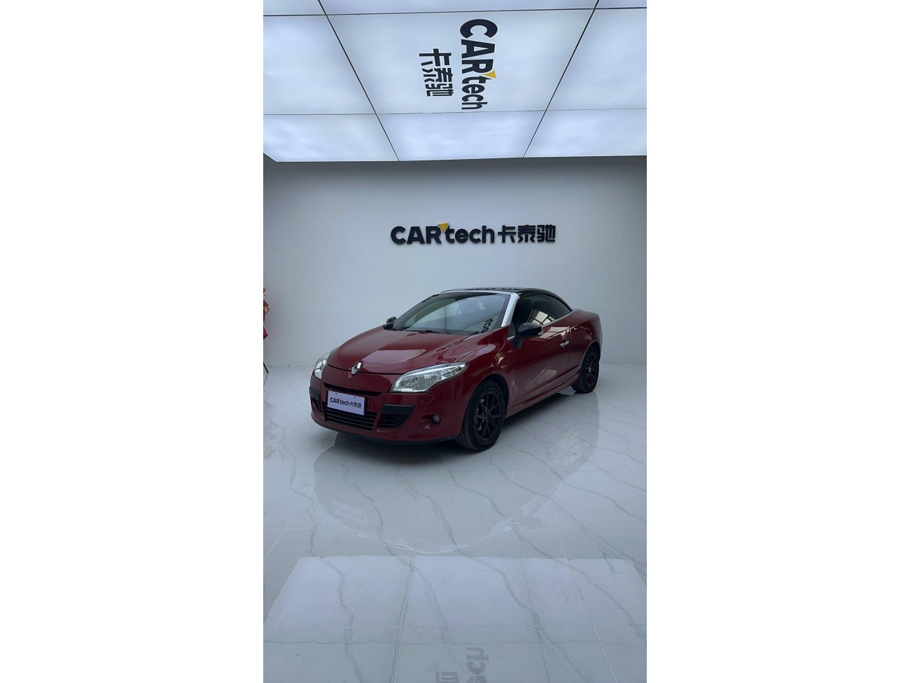Megane Megane 2013