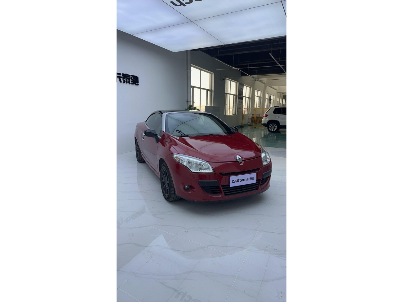 Megane Megane 2013