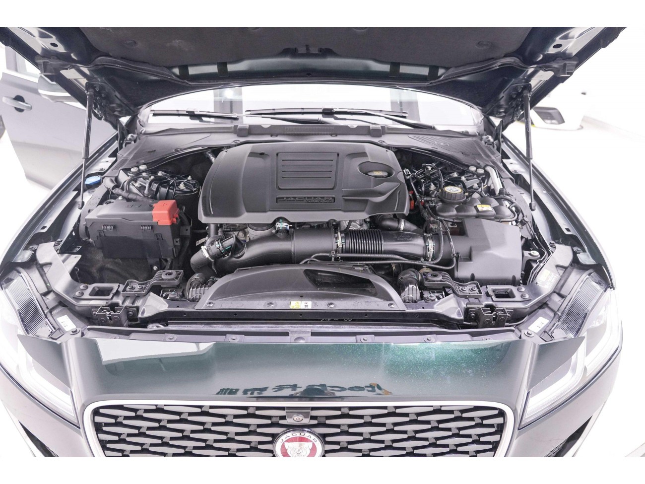 Jaguar XFL 2024