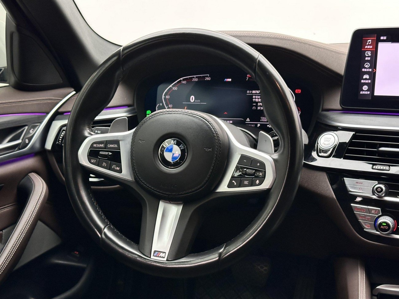 BMW 530Li 2021