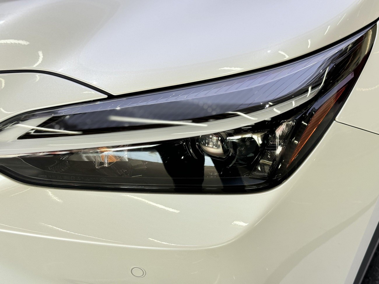 Lexus NX 260 2022