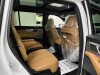 Trumpchi ES9 2025