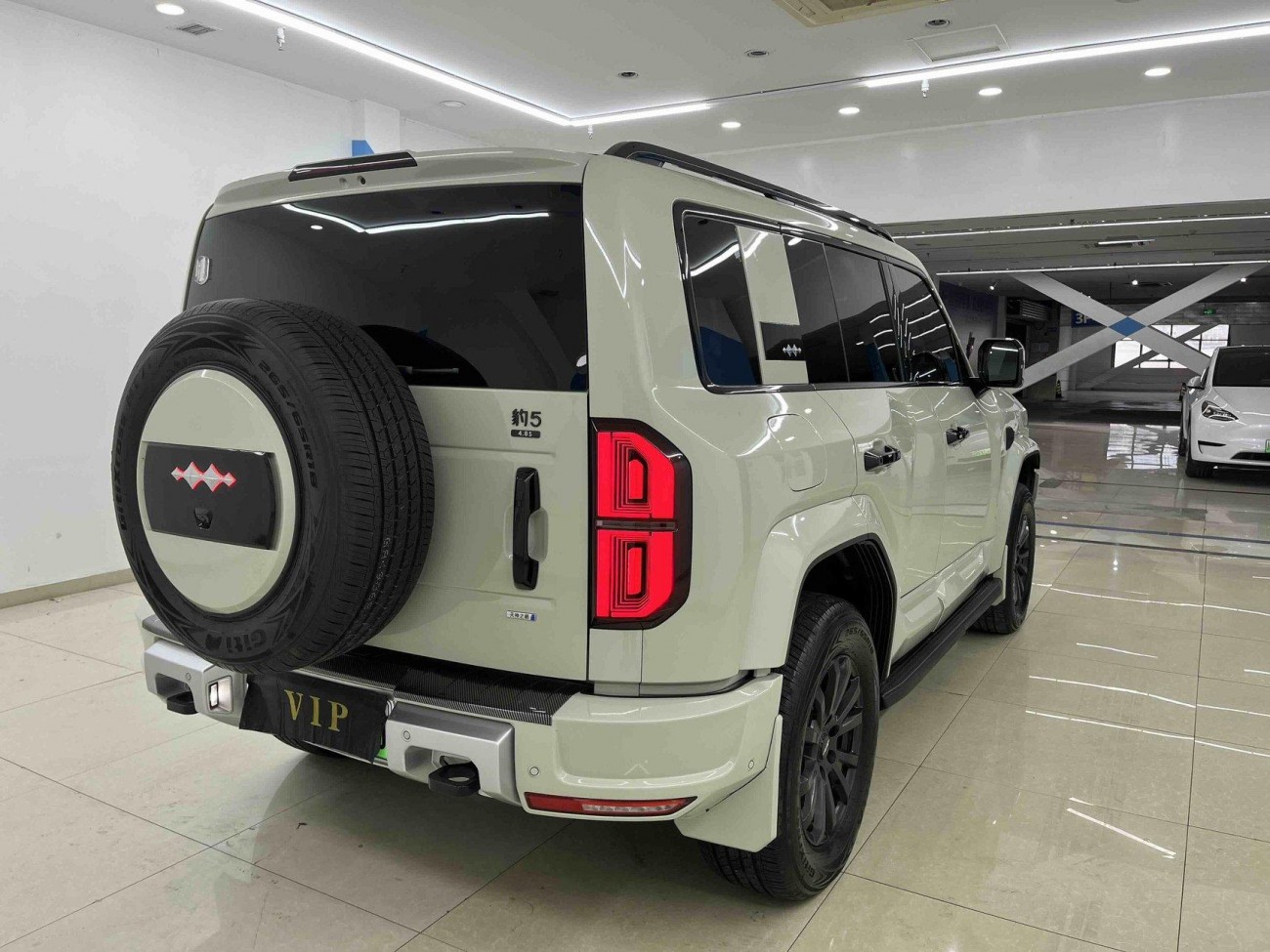 Fang Cheng Bao Bao 5 2025