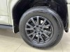 Fang Cheng Bao Bao 5 2025