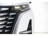 Denza D9 2025