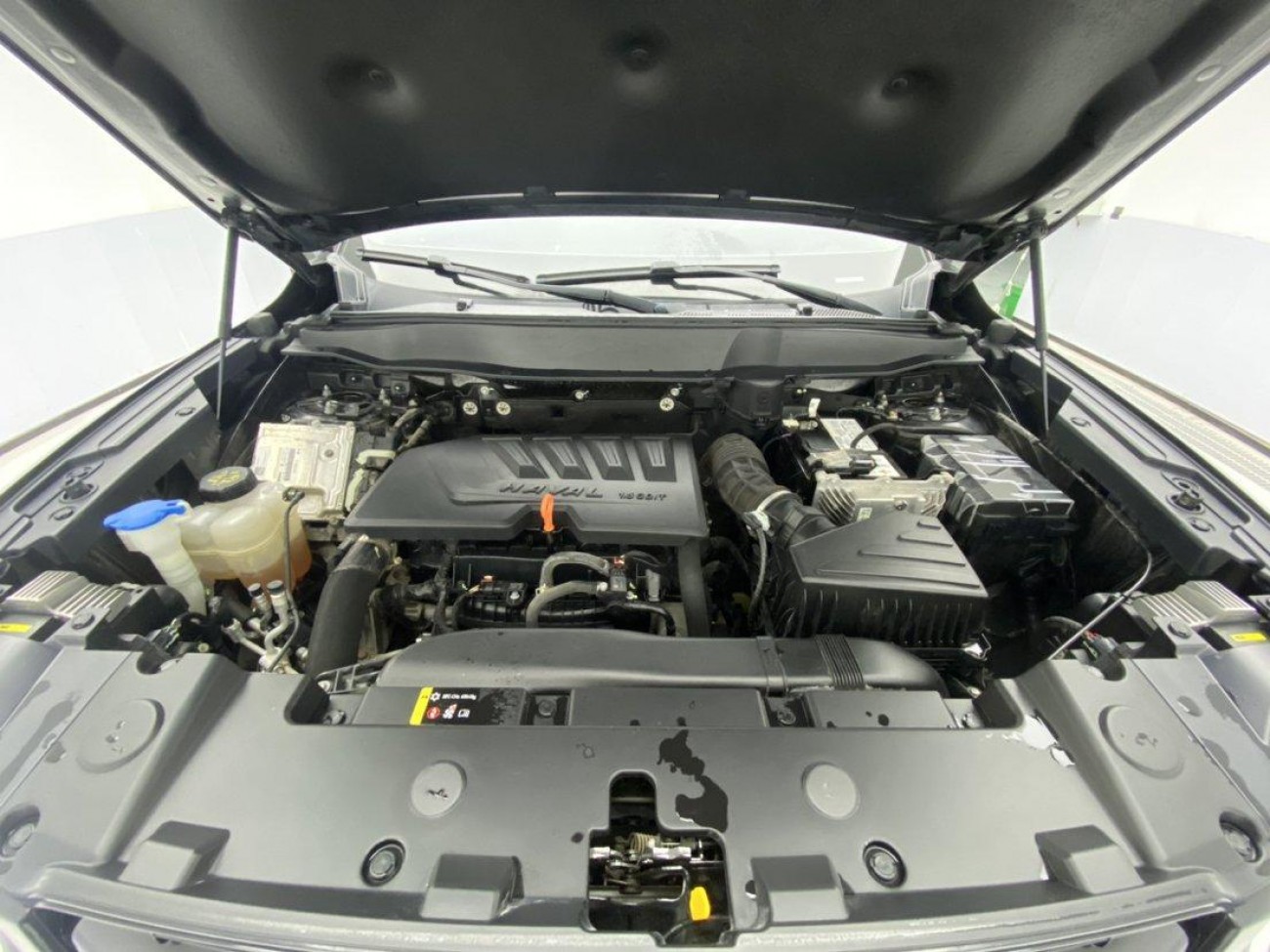 Haval Big Dog 2021
