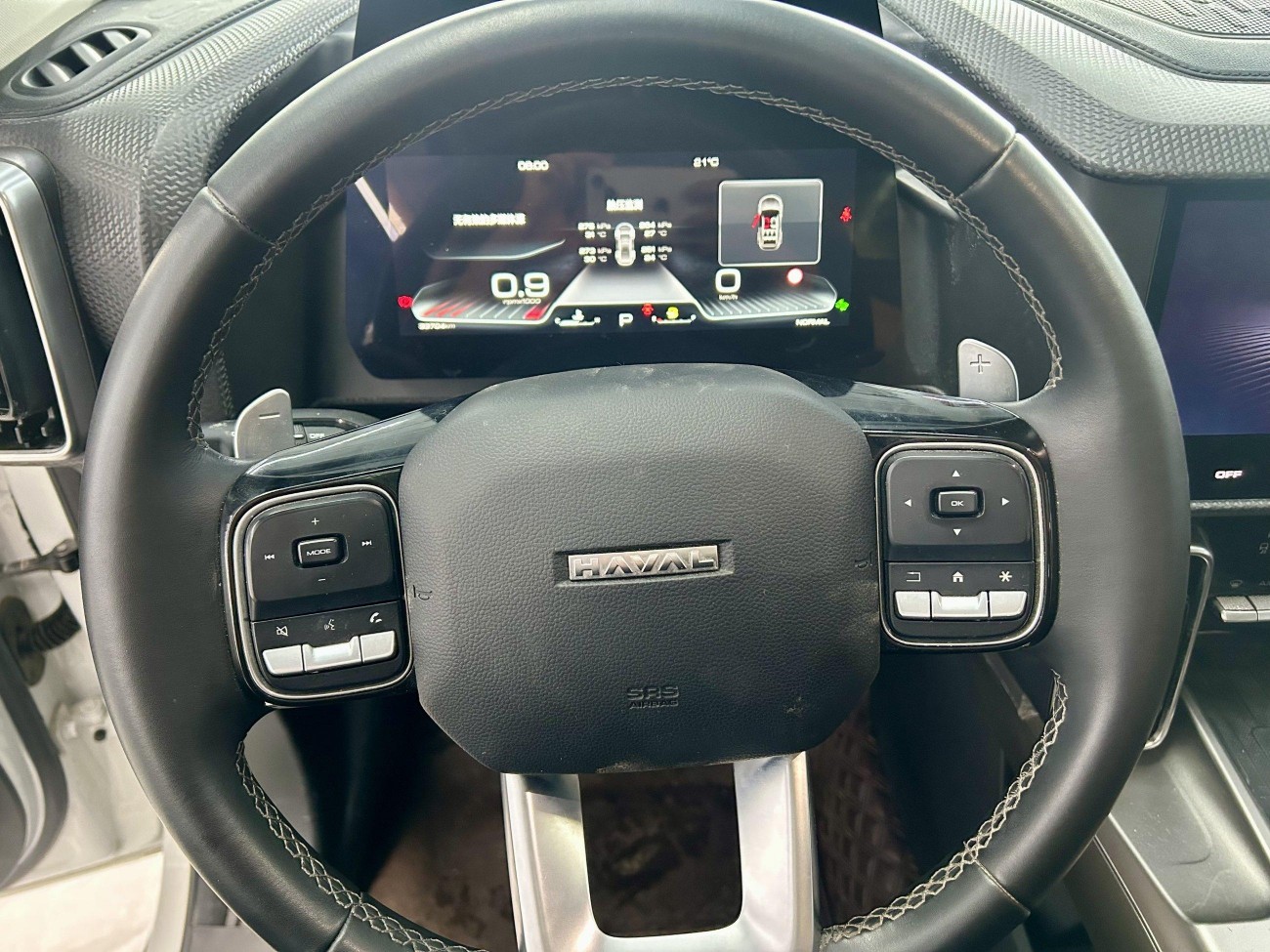 Haval Big Dog 2024