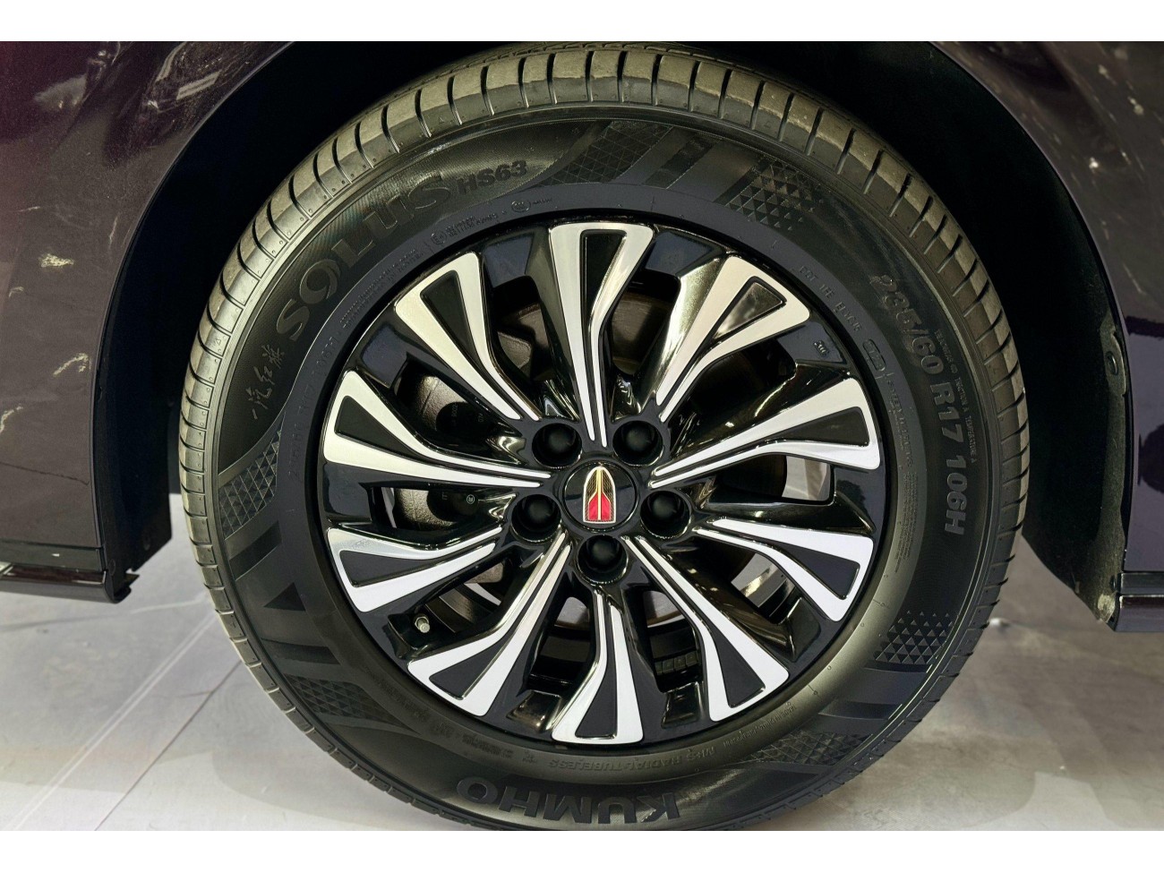Hongqi HQ9 2024