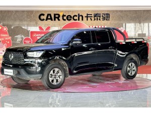 Great Wall Poer 2023