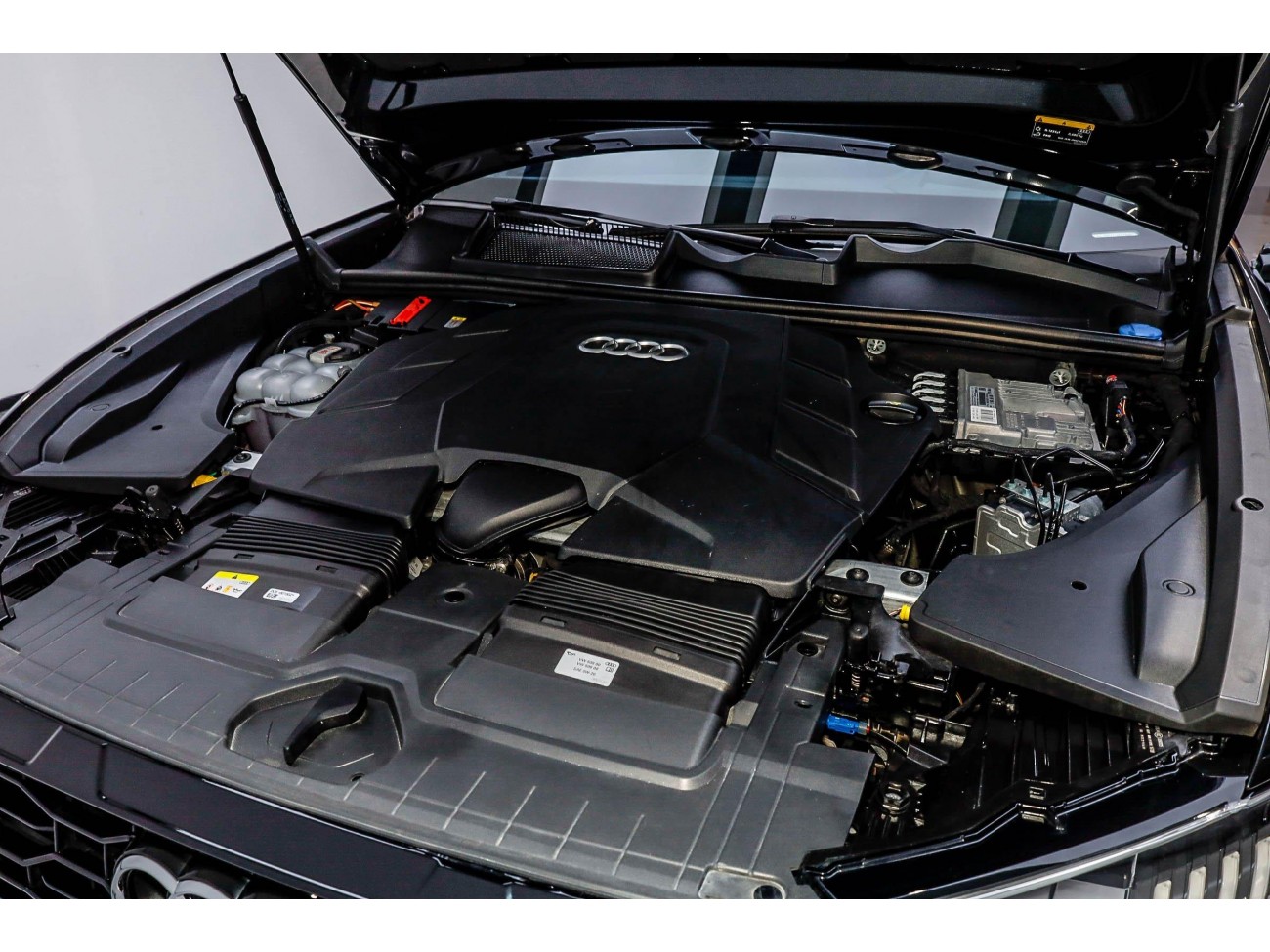 Audi Q8 55 TFSI 2023