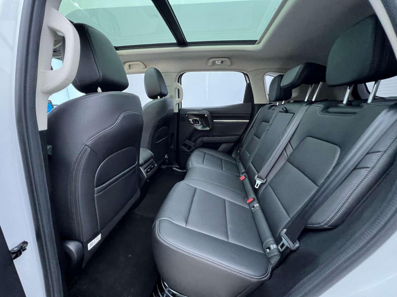 Haval Big Dog 2024
