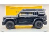 Tank 300 2024