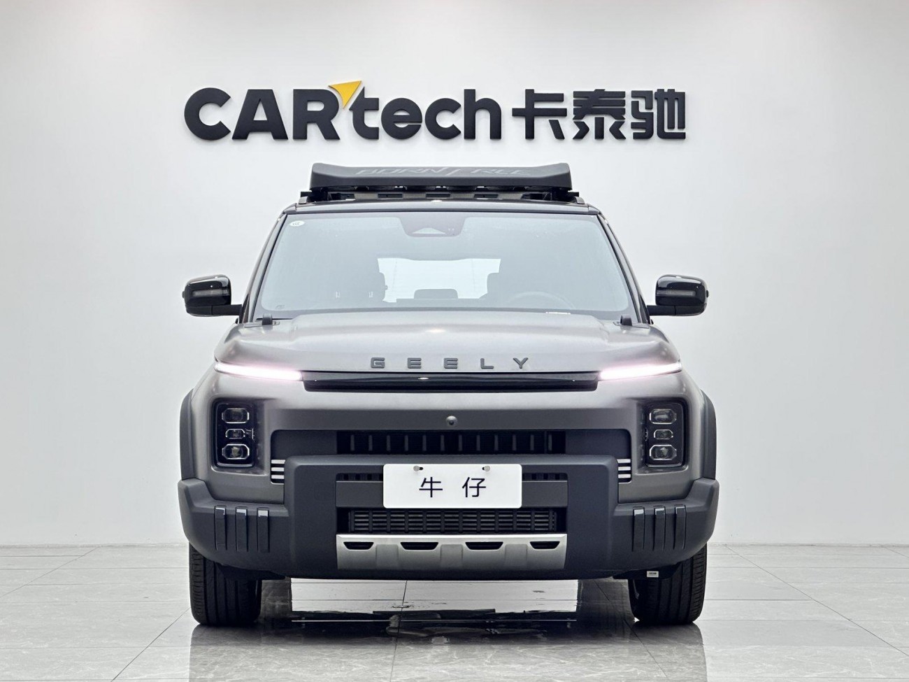 Geely Geely 2025