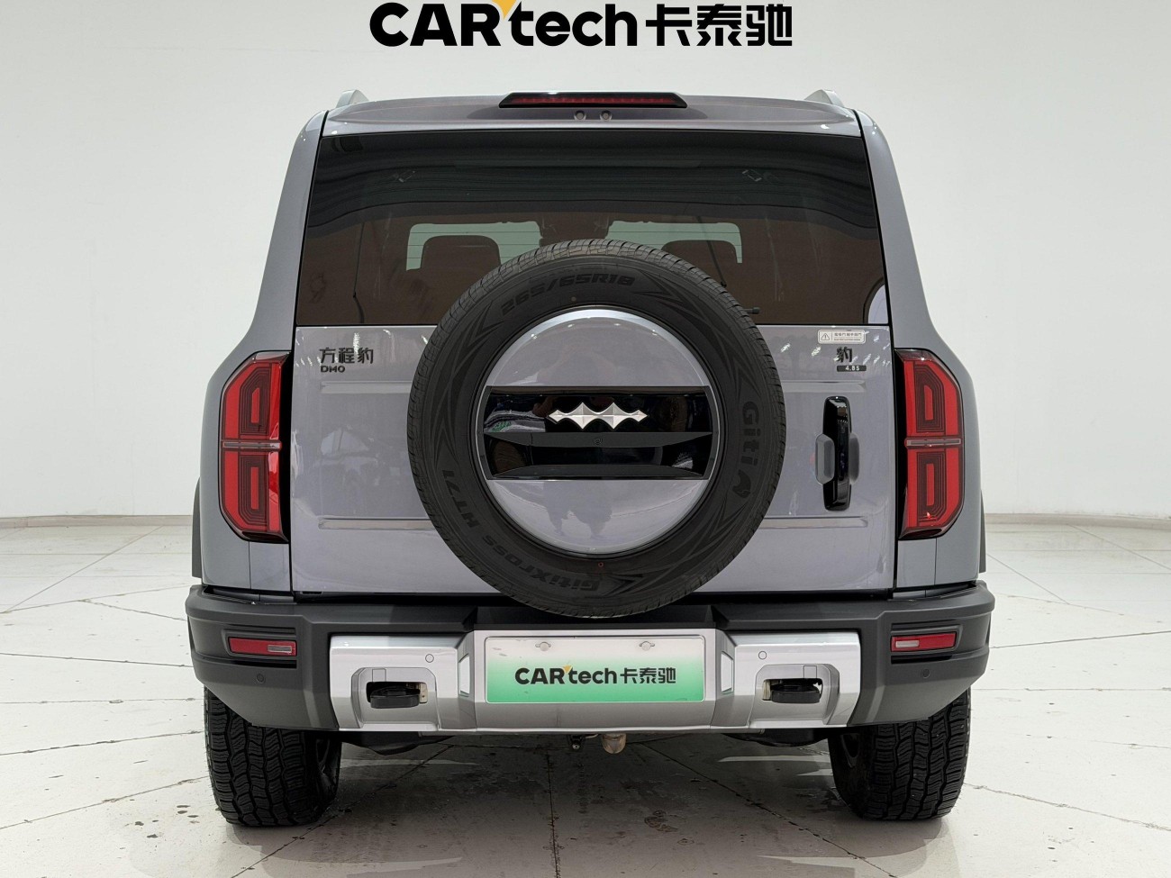 Fang Cheng Bao Bao 5 2024