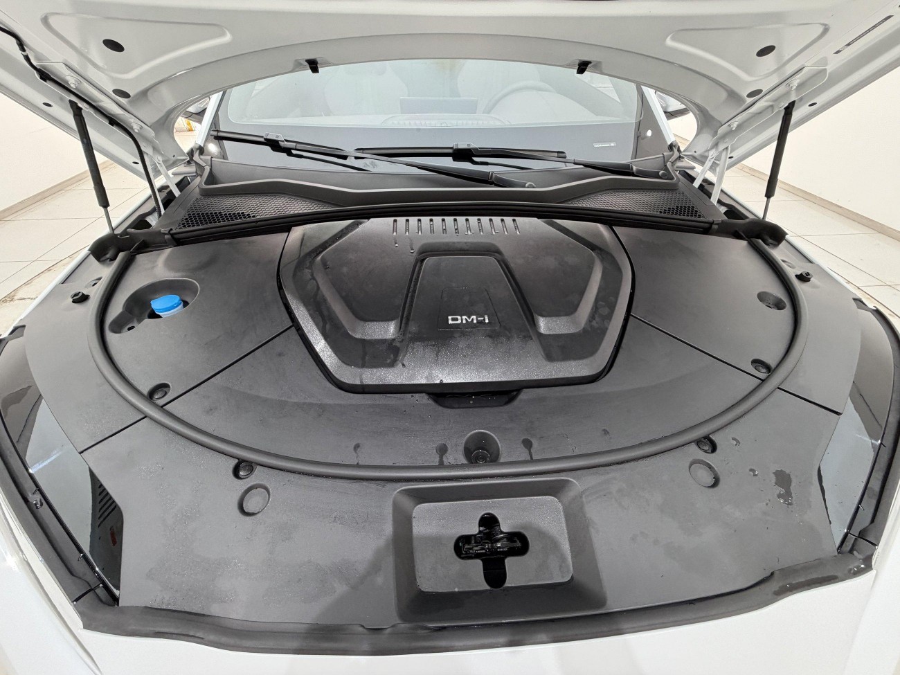 BYD Song 2024