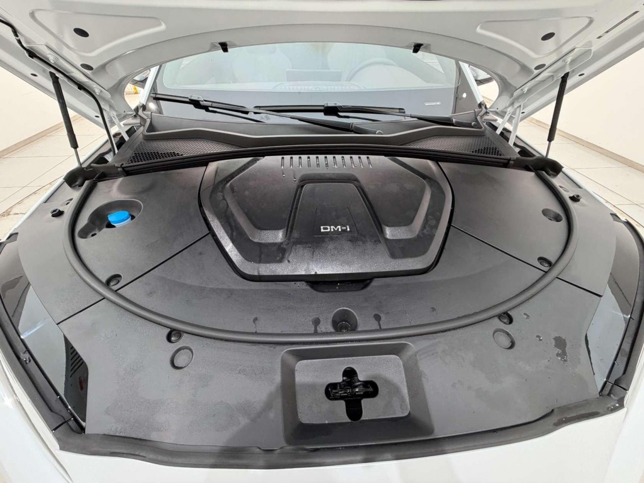 BYD Song 2024