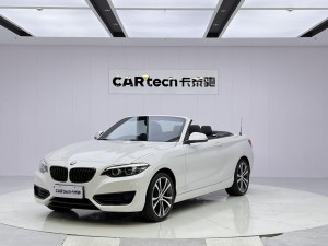 BMW 225i 2019