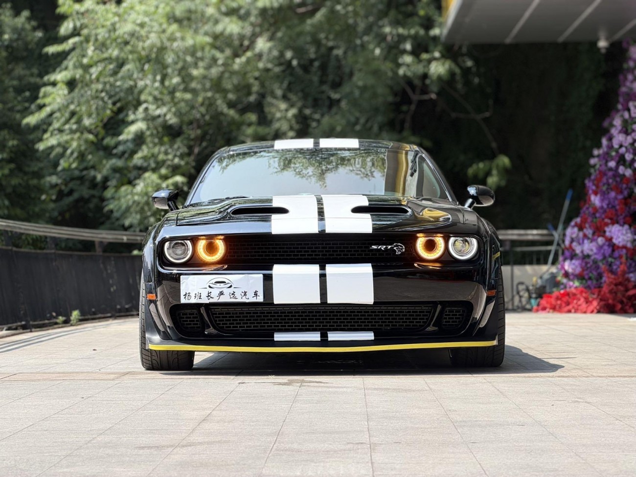 Dodge Unknown 2024