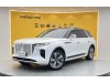 Hongqi E-HS9 2023