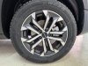 Haval Big Dog 2024