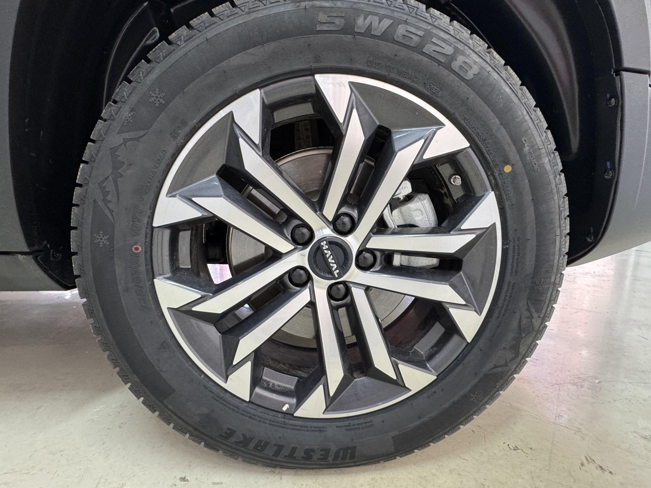 Haval Big Dog 2024
