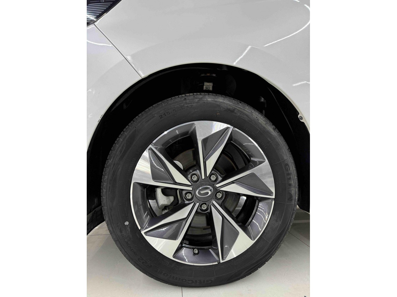 Trumpchi M6 2024