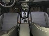 Jetta Panda 2022