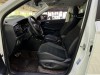 Jetta Panda 2022