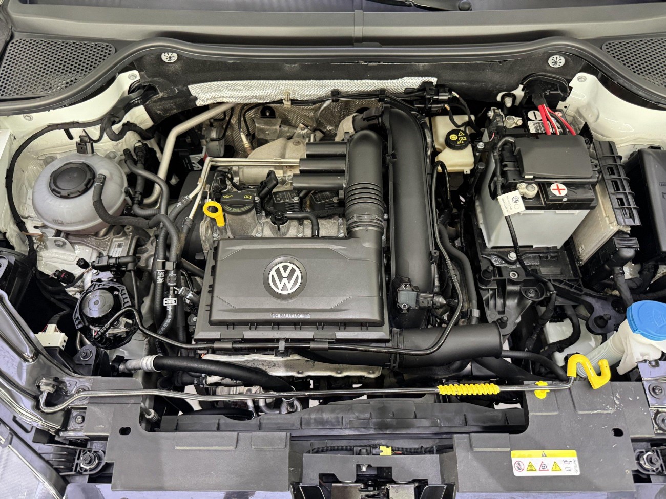 Jetta Panda 2022