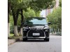 Lexus LM 300h 2022